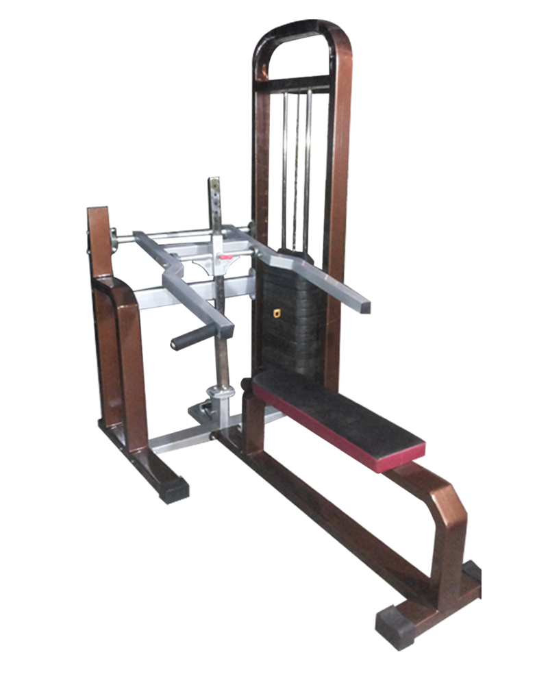 gym equipment manufacturers in india
