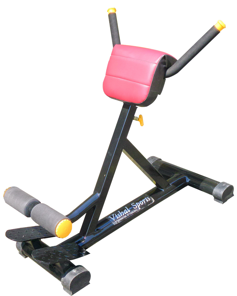 gym equipment manufacturers in india
