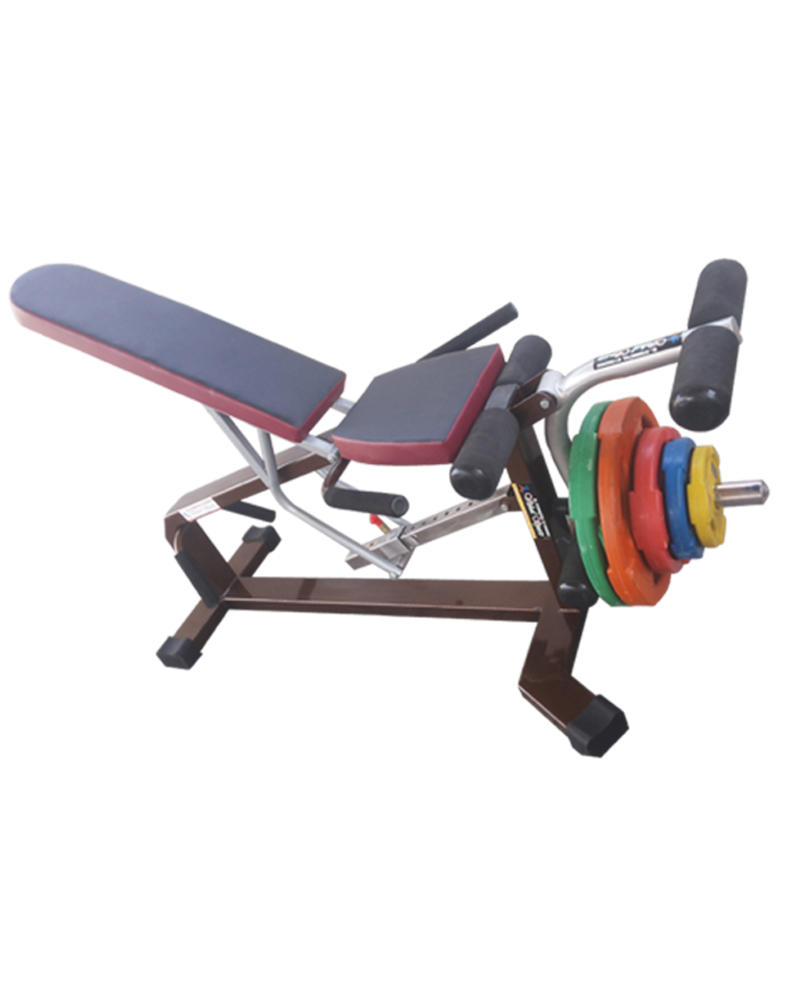 gym goods manufacturers in india
